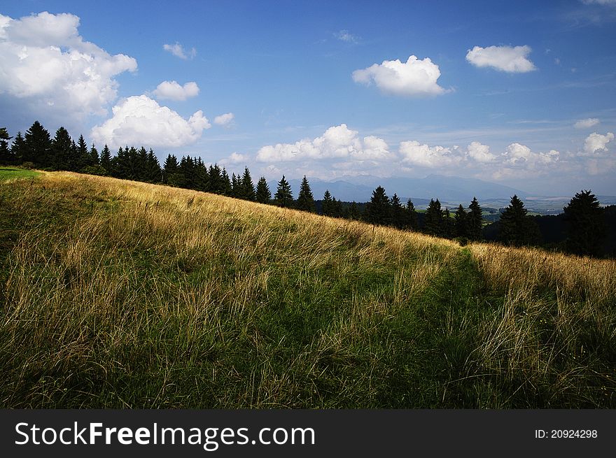 Summer Meadow indeed, central Slovakia