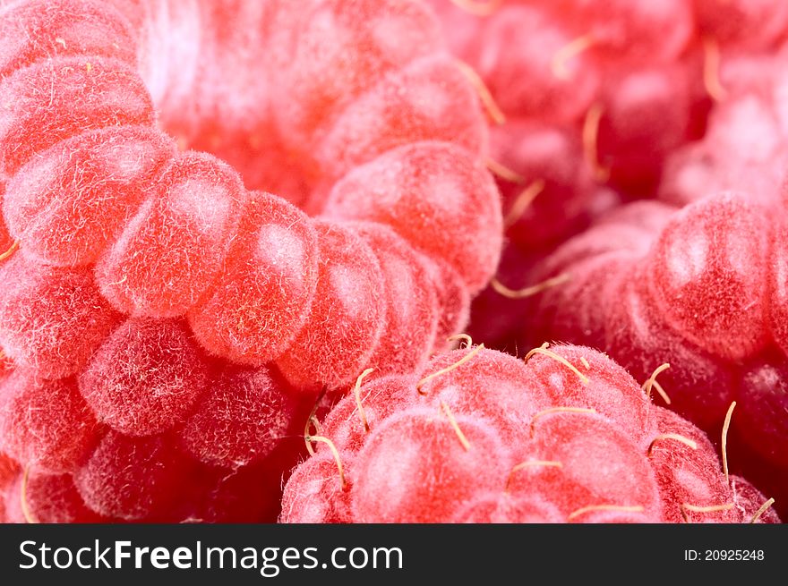 Fresh red raspberry.  background