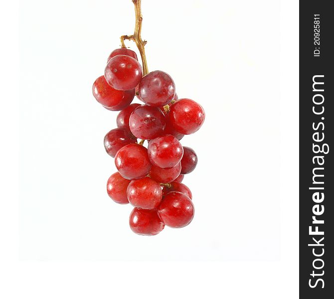 Red Grapes on white background