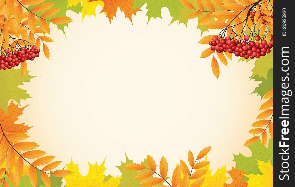 Autumn background with maple leaves and rowanberry