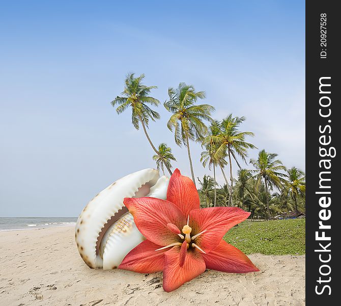 Flower on the beach in a tropical island.