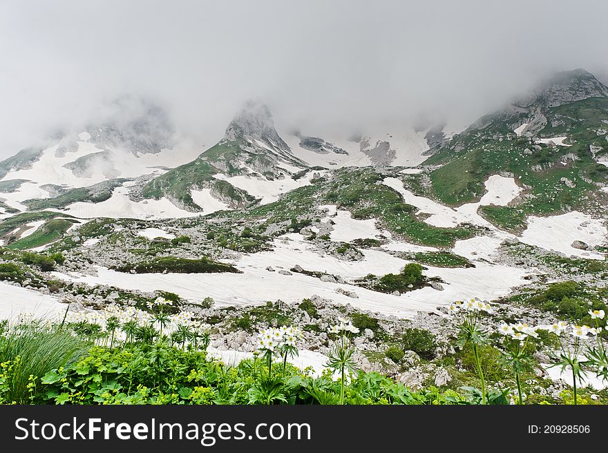 Snow and grass in the North Caucasus mountains. Russia.