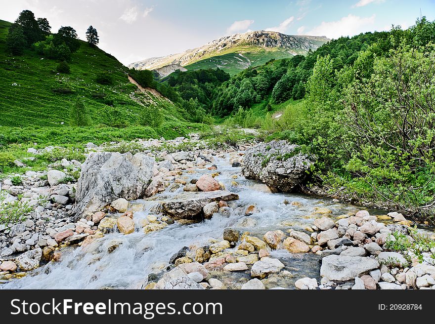 River and grass in the North Caucasus mountains. Russia. River and grass in the North Caucasus mountains. Russia.