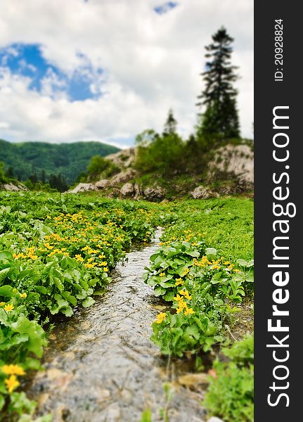 Bright green meadow with river on background of the high mountains and cloud