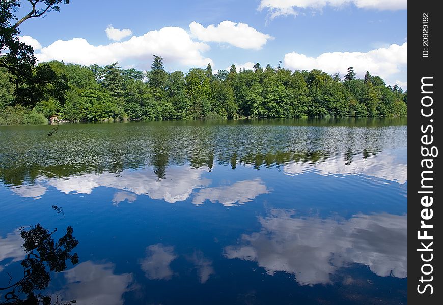 Reflection of trees and clouds in a lake