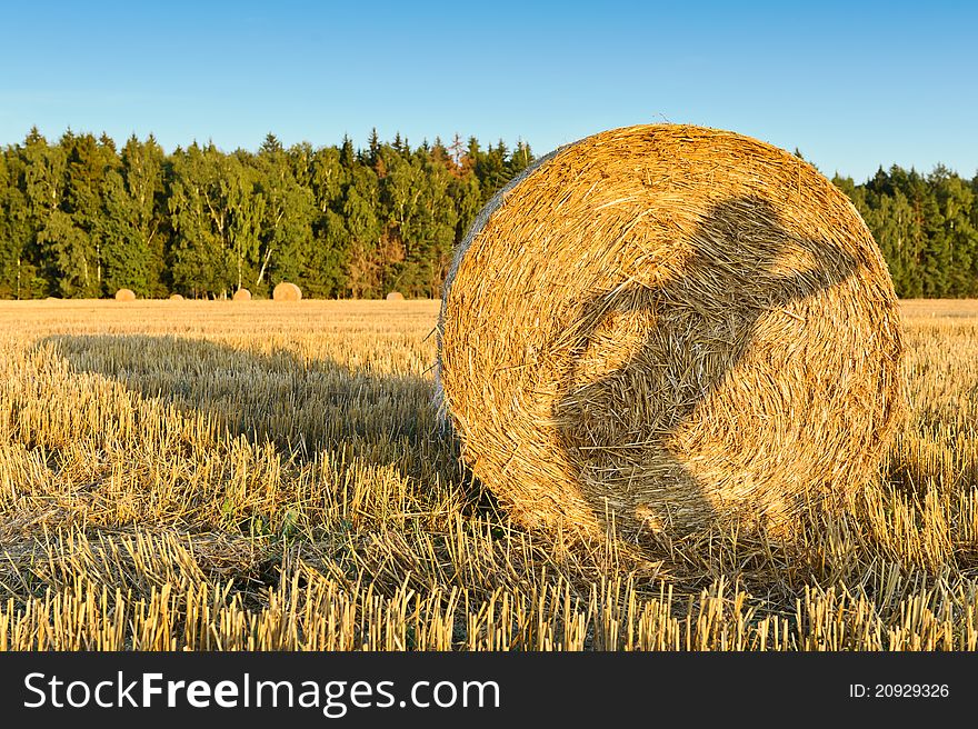 The photo shows a shadow of a girl on a haystack. Russia, Moscow region