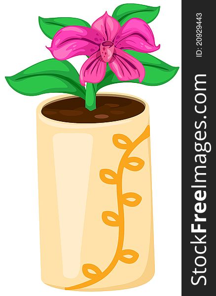 Illustration of isolated orchid in a pot on white