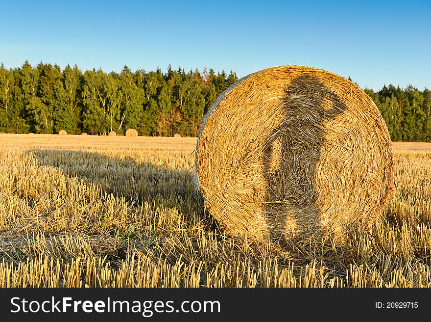 The photo shows a shadow of a girl on a haystack