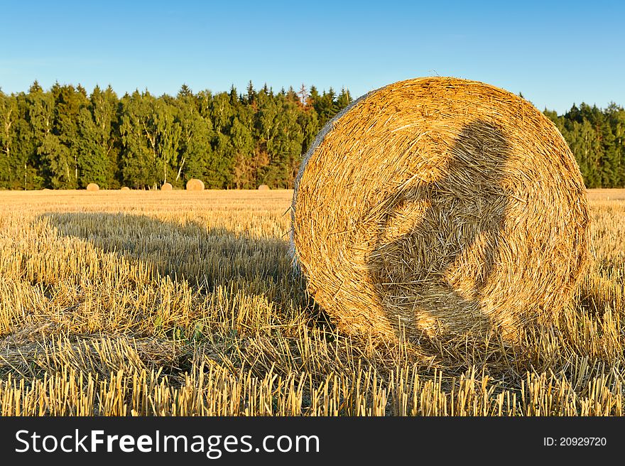 The photo shows a shadow of a girl on a haystack