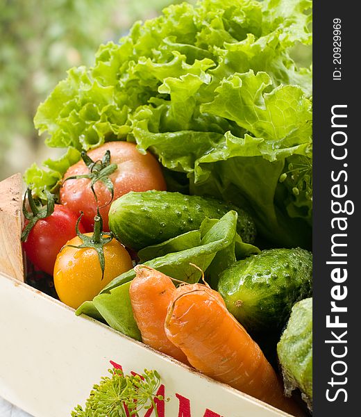 Different fresh vegetables with focus on tomato