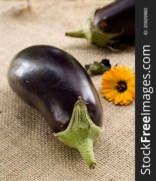 Fresh ripe eggplant on natural background. Selective focus