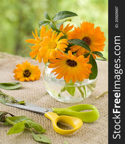 The orange flowers of calendula in glass vase. Selective focus