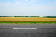 Field And Road Stock Images Field And Road Stock Images