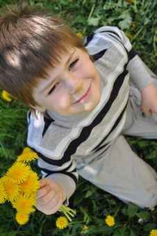 A Boy With A Dandelions Stock Photo A Boy With A Dandelions Stock Photo