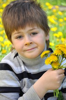 A Boy With A Dandelions Royalty Free Stock Photo A Boy With A Dandelions Royalty Free Stock Photo