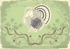 Free Thanksgiving Decoration Postcard Royalty Free Stock Photo - 20935895