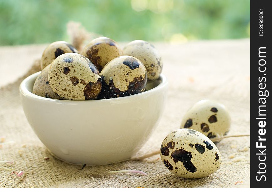 Fresh quail egg in bowl. Selective focus