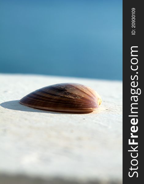 A picture of a seashell by the beach in Greece