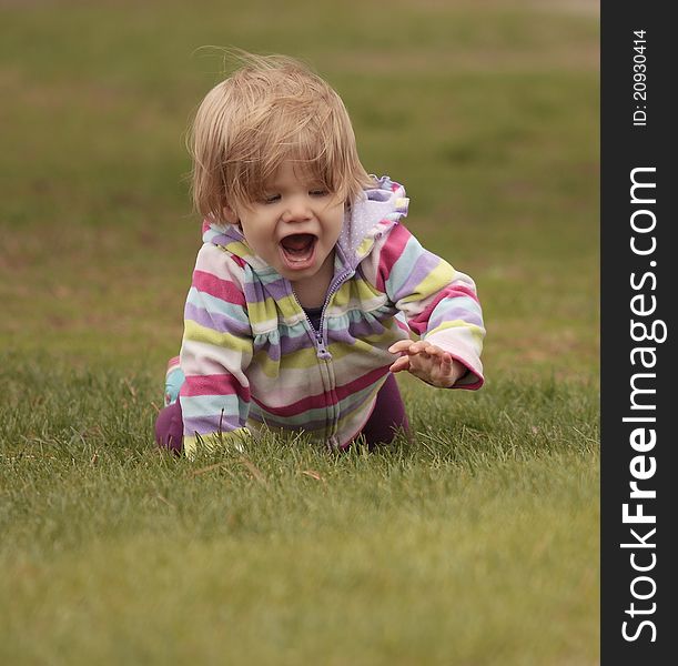 A toddler crawling through a field. A toddler crawling through a field