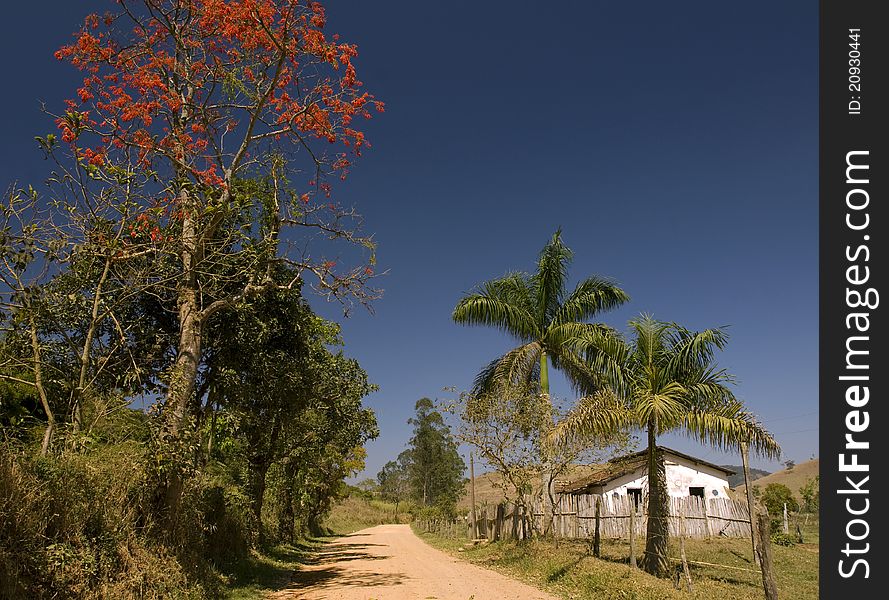 A peacefull rural path. Dust road and humble house.