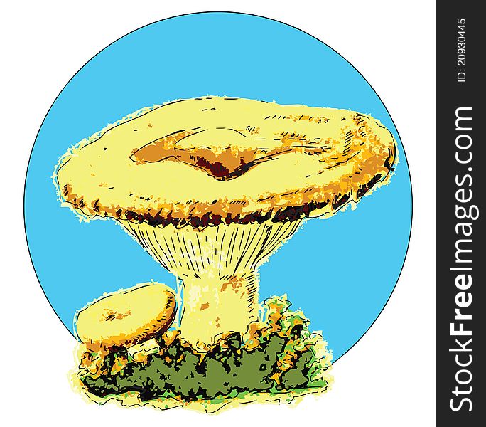 Vector illustration of milk mushroom, edible fungus. Illustration in EPS.