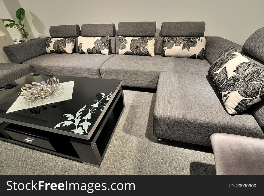 Modern style furniture in black and white