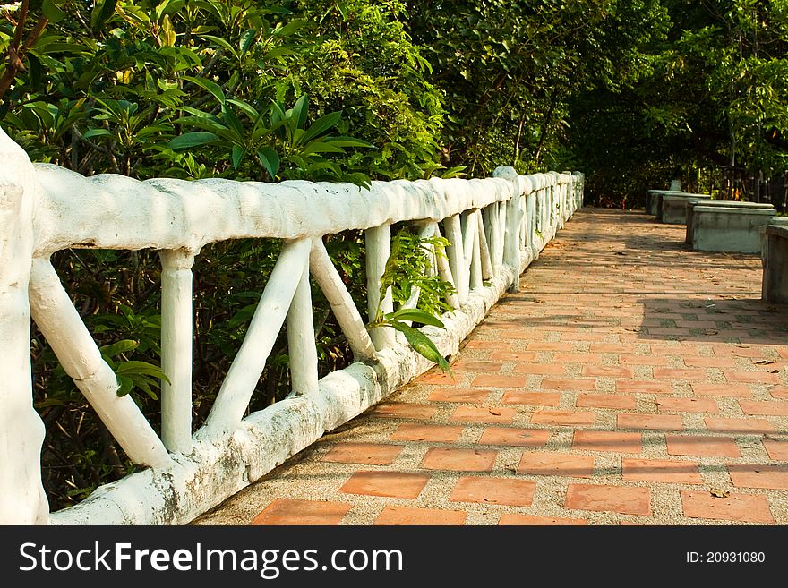 Walk way in to the garden