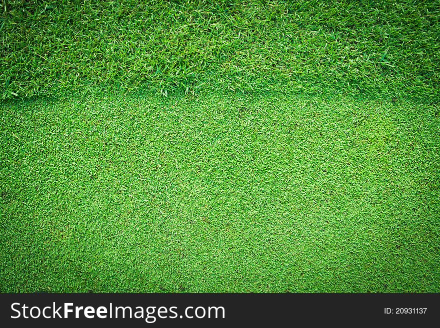 Real green grass texture for background. Real green grass texture for background