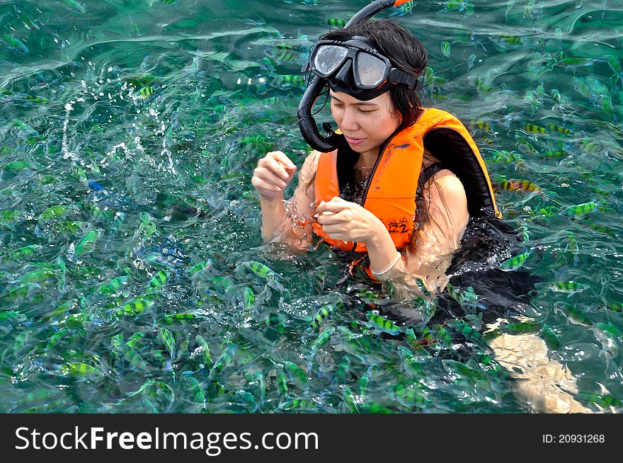 Happiness Woman snorkeling and fishs on  sea image. Happiness Woman snorkeling and fishs on  sea image.