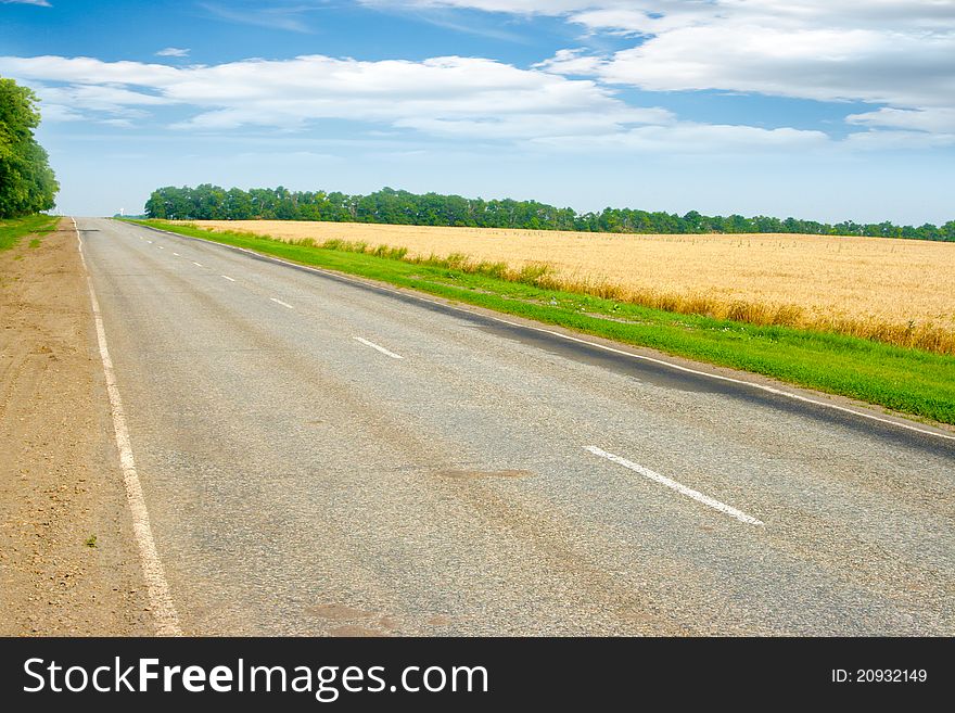 Scene beautiful wheat field and road on background solar blue sky