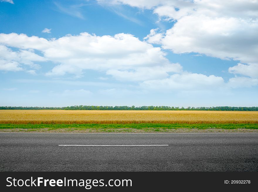 Scene beautiful wheat field and road on background solar blue sky