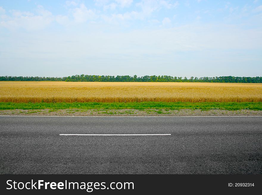 Scene beautiful wheat field and road on background solar blue sky