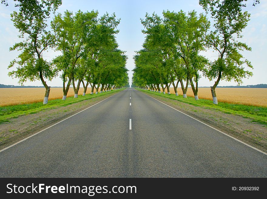 Scene beautiful wheat field and road on background solar blue sky