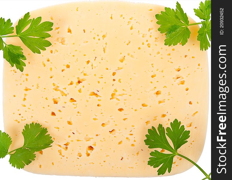 Cheese with parsley on white