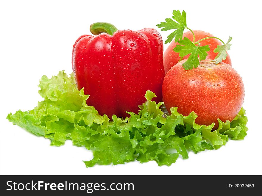 Tomatoes and red peppers on white