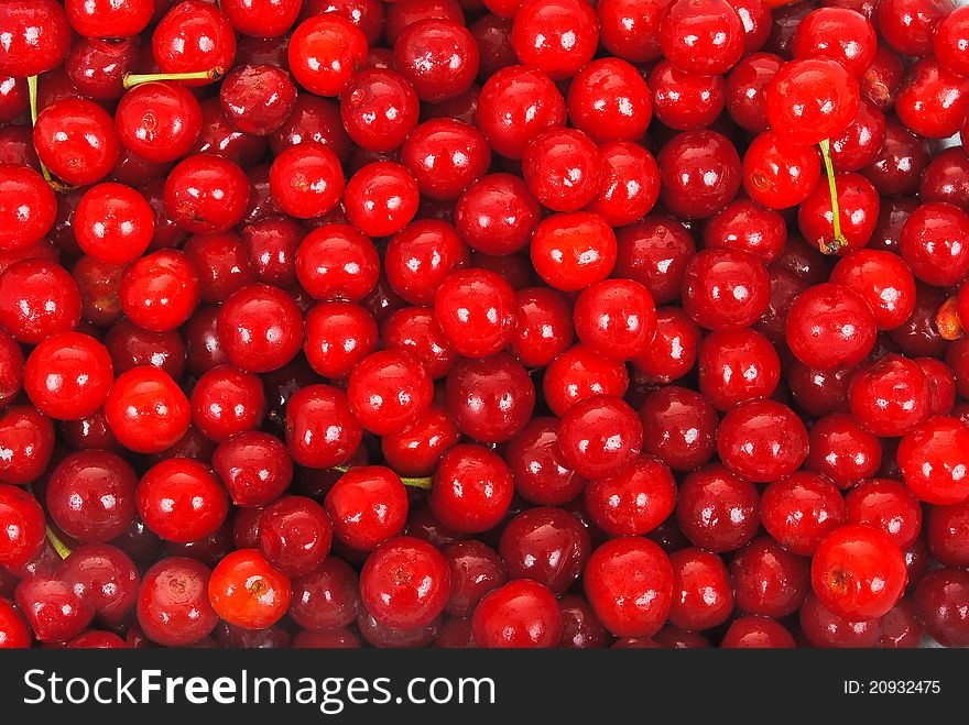 Sweet cherries texture. Background for design