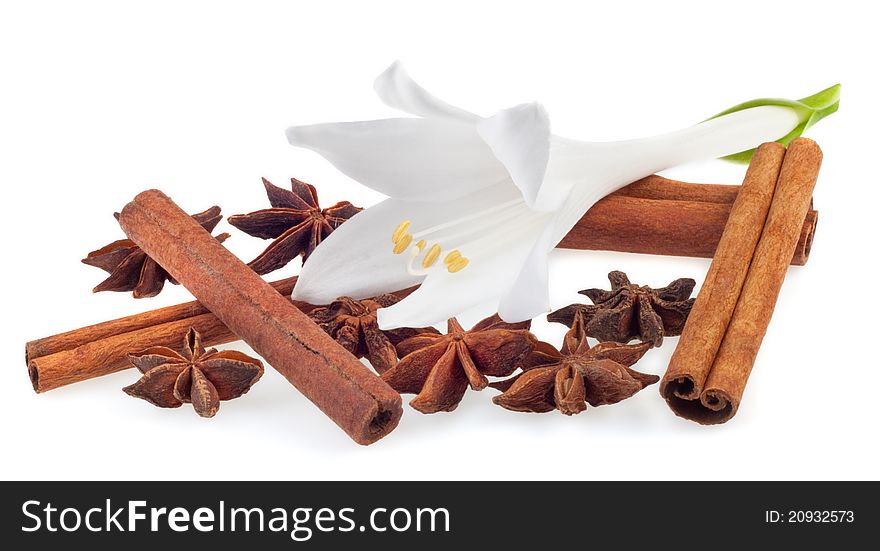 Aromatic spices on a white background