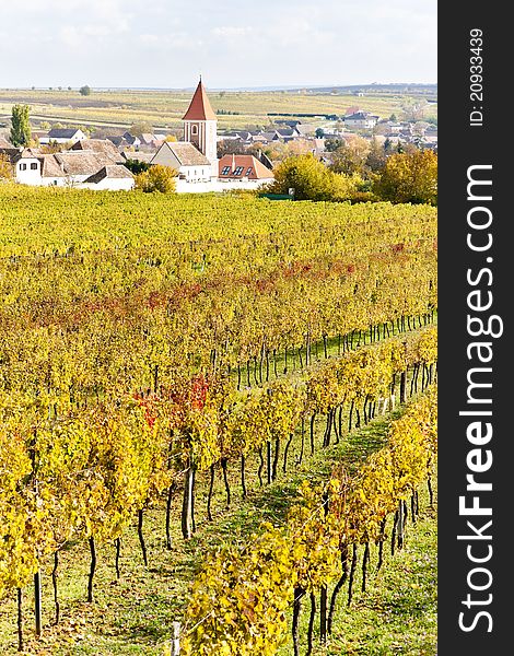 Autumnal vineyards in Retz region, Lower Austria, Austria