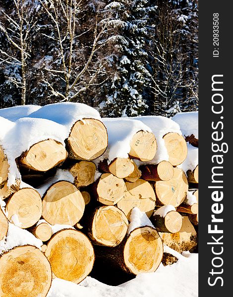 Still life of snow covered logs