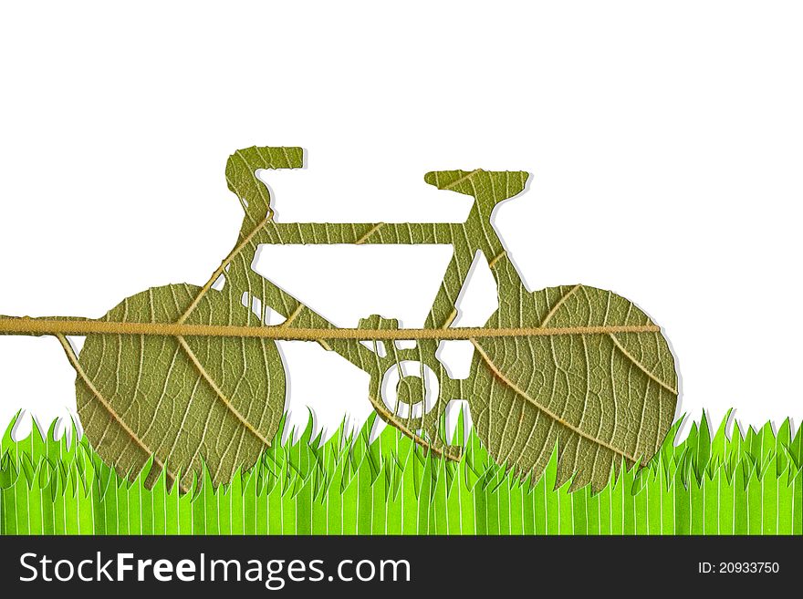 Pushbike from green leave