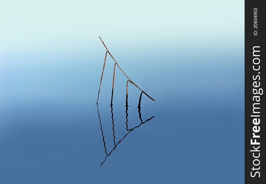 Straw lying on the surface of water reflecting the blue sky. Straw lying on the surface of water reflecting the blue sky