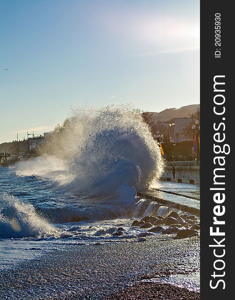 Wave on the sea front. Wave on the sea front