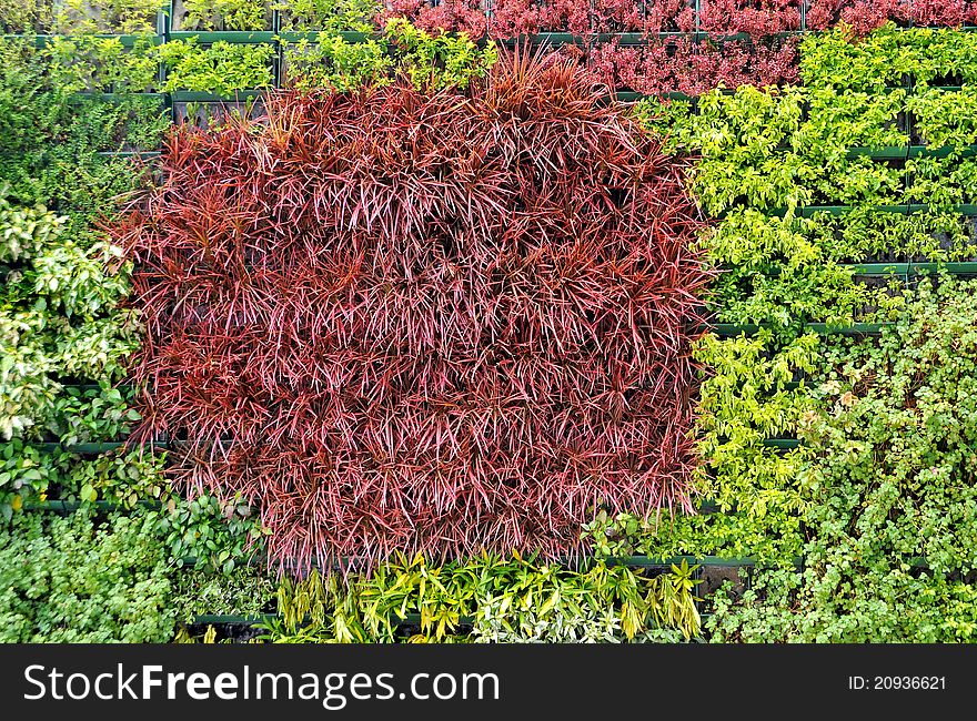 Clour leaves wall background mix colour