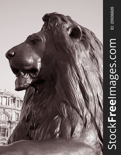 Lion part of Nelsons Column Monument in Trafalgar Square, London, England, UK