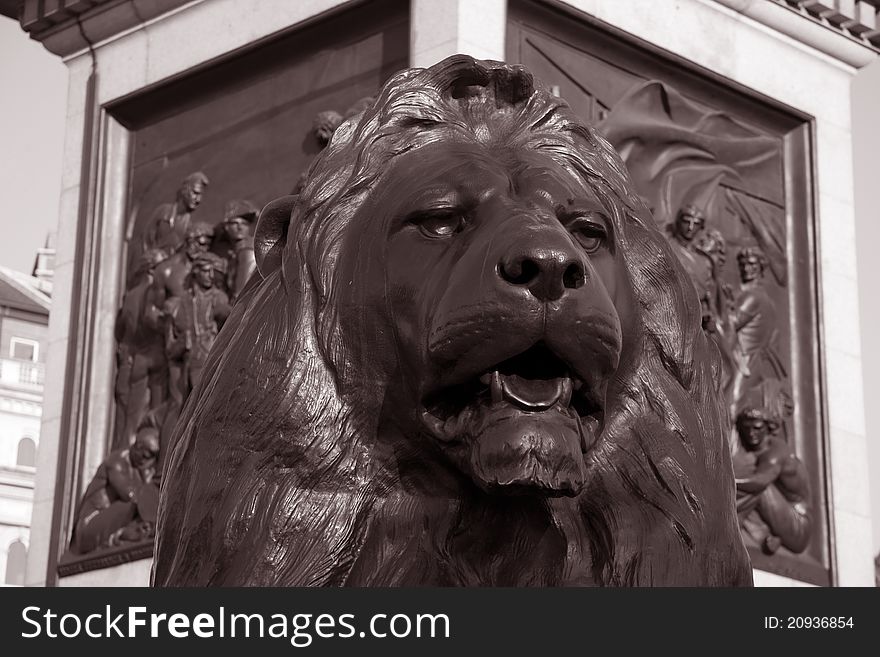 Lion of Nelsons Column; Trafalgar Square, London, England, UK