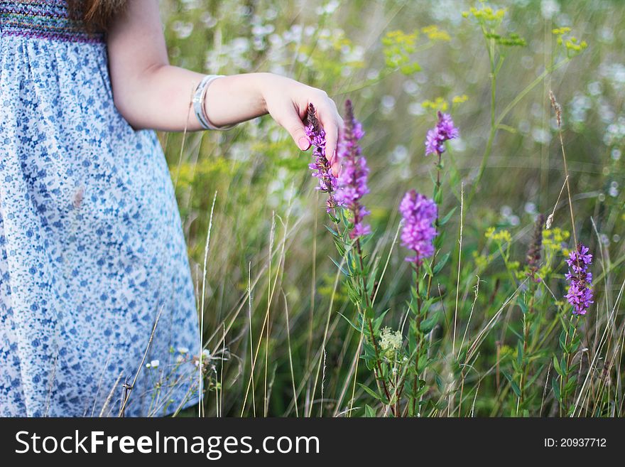 Girl touching to the flowers. Girl touching to the flowers