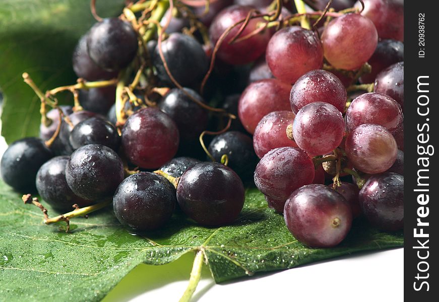 Red grapes for wine on a leaf. Red grapes for wine on a leaf