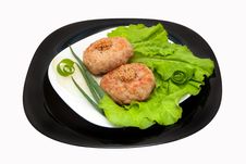 Fried Cutlets With Vegetables Stock Photos