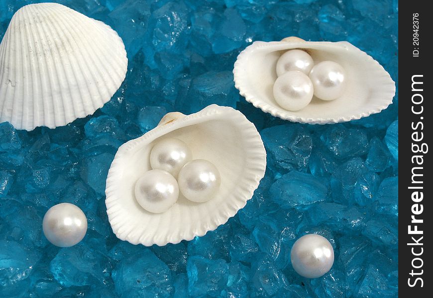 White shells and pearls on rocky blue background
