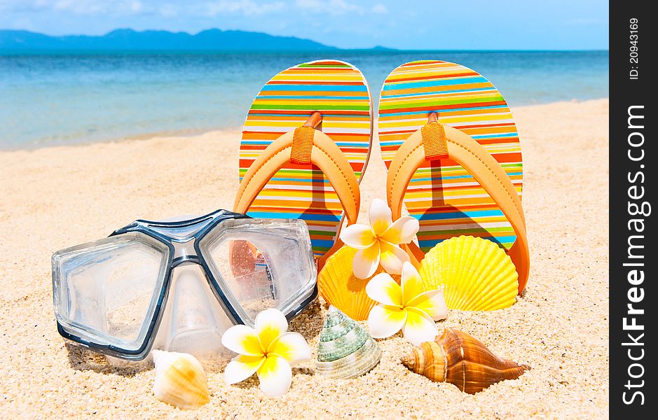 Seashells and diving mask on the sand.